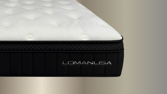 Sleep Max PP Pro Bed
