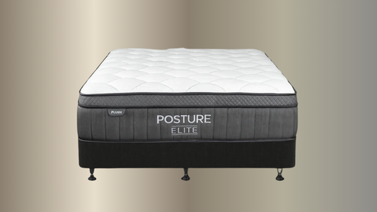 Posture Elite Plush Bed